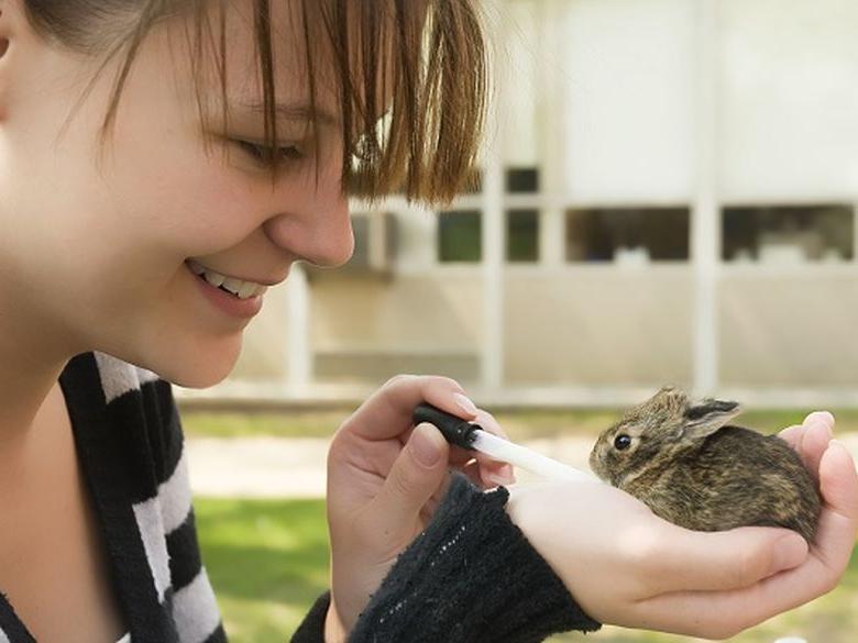 wildlife technology student